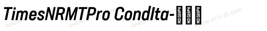 TimesNRMTPro CondIta字体转换